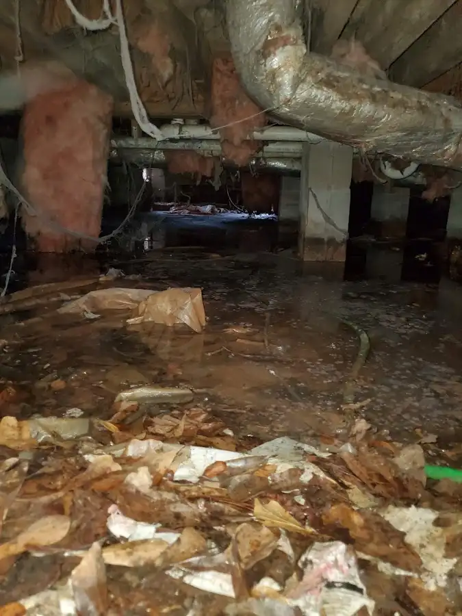 Crawl space flood assessment for Leak Detection & Repair in Rigby