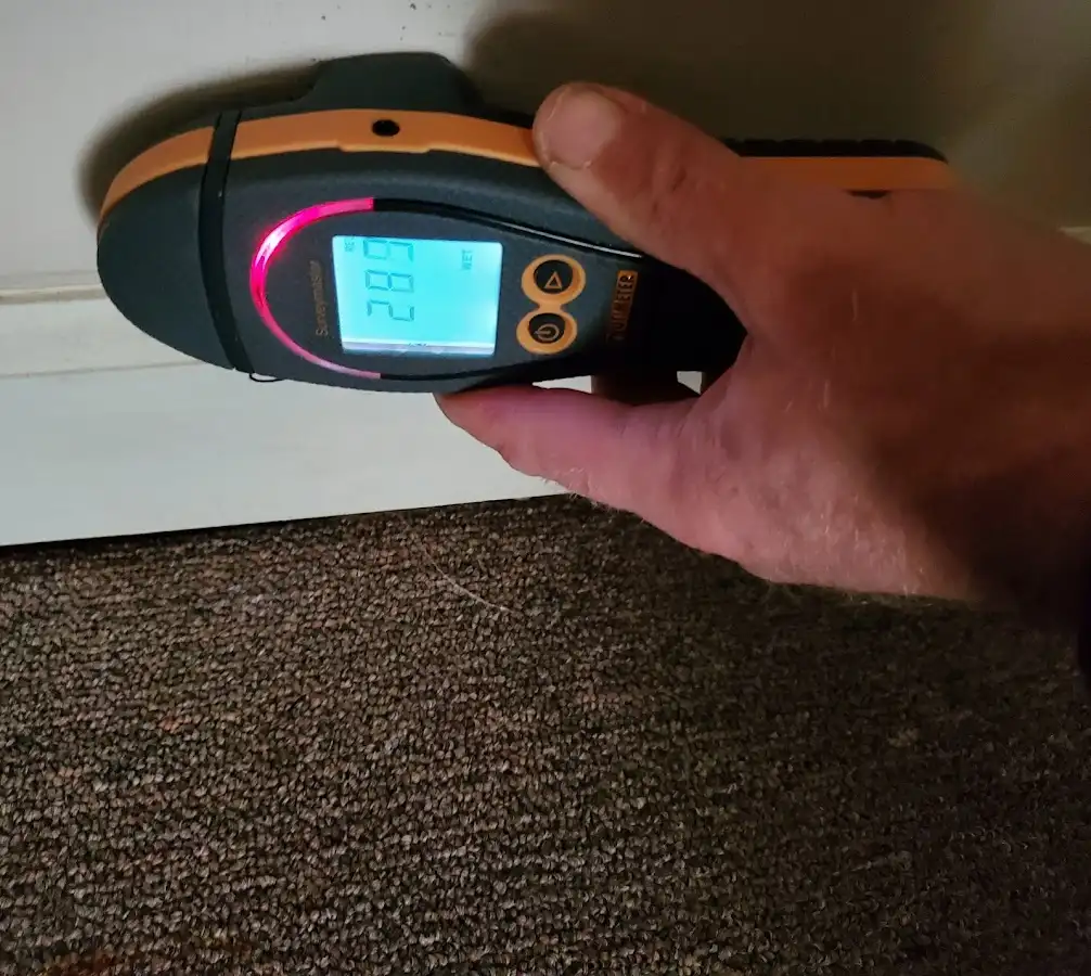 Moisture detection at baseboard during Mold Inspection & Testing in Rigby
